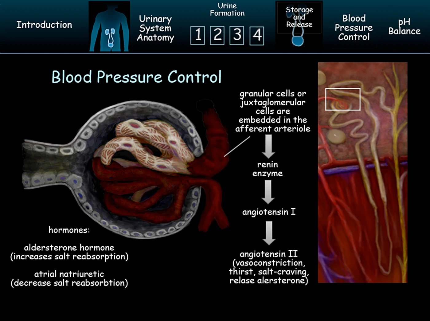 Slide 3